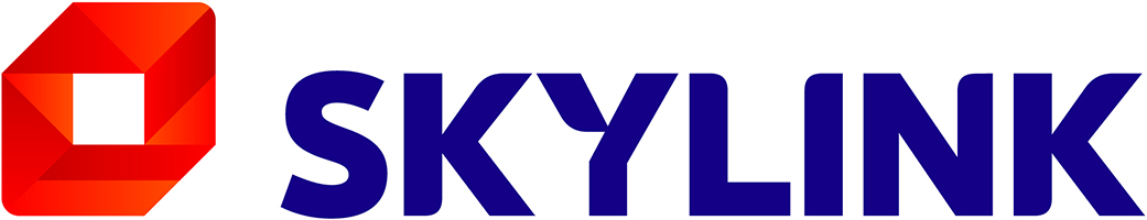 Skylink - logo